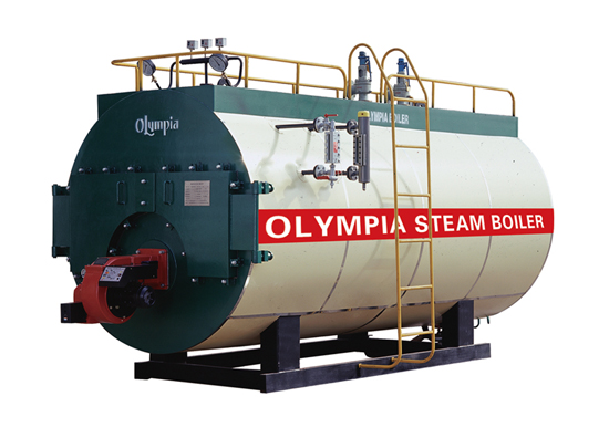 卧式蒸汽锅炉