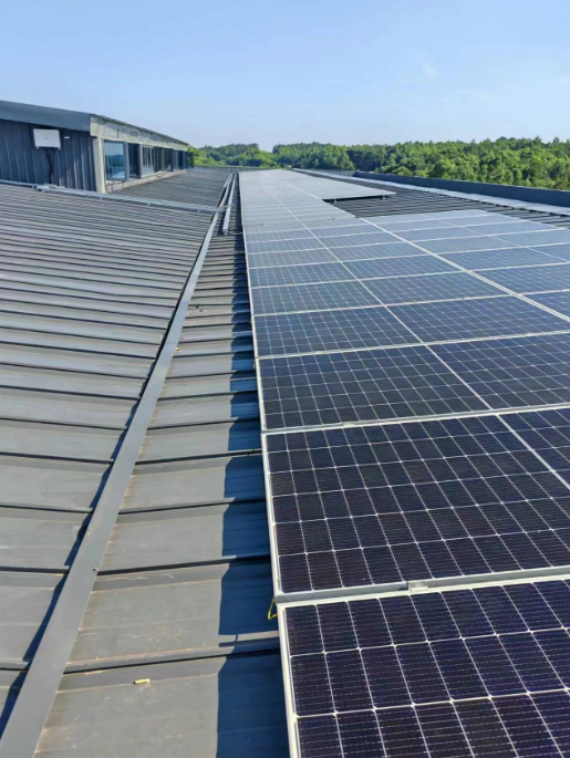 澳门正规的电子游戏网址